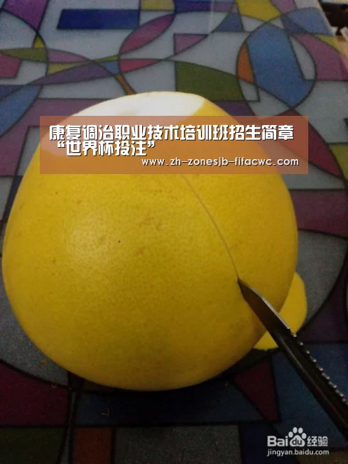 康复调治职业技术培训班招生简章“世界杯投